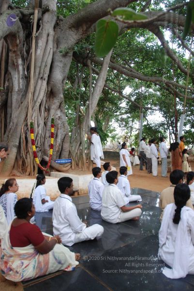 File:20100703 Photo 1017 1rpnfG12h0b5Ah9S11a2zFEoei3hw 6gn.JPG