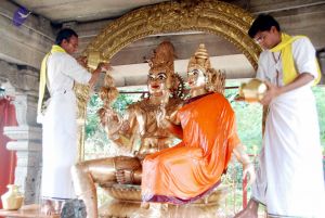 20100705 DSC 4717 CMP WM111.jpg