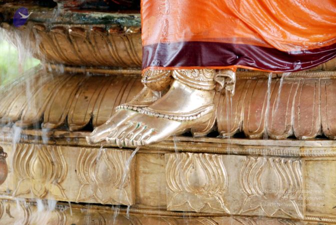 20100705 DSC 4720 CMP WM111.jpg