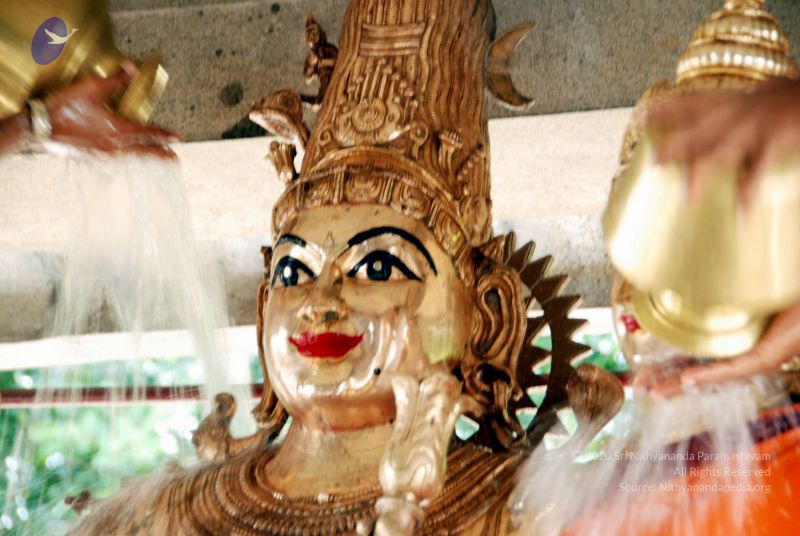 File:20100705 DSC 4721 CMP WM111.jpg