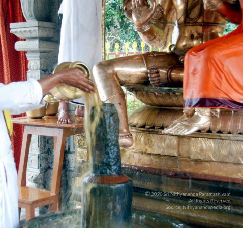 20100705 DSC 4724 CMP WM111.jpg