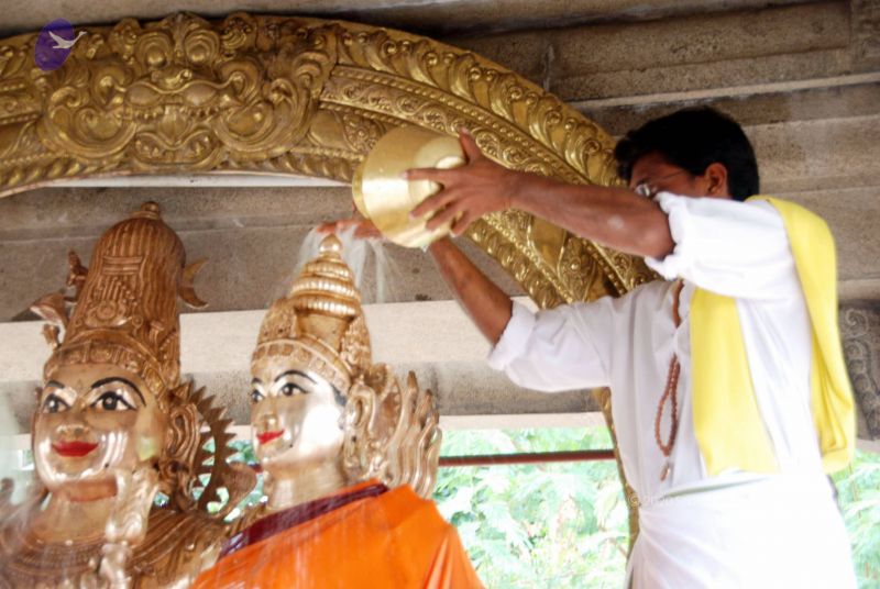 File:20100705 DSC 4726 CMP WM111.jpg