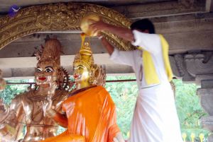 20100705 DSC 4732 CMP WM111.jpg