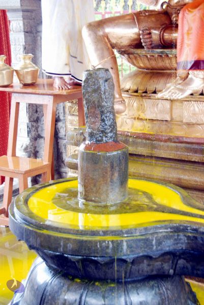 File:20100705 DSC 4740 CMP WM111.jpg