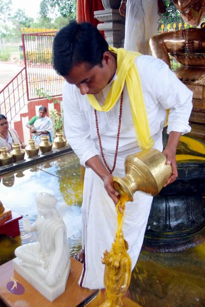 File:20100705 DSC 4742 CMP WM111.jpg