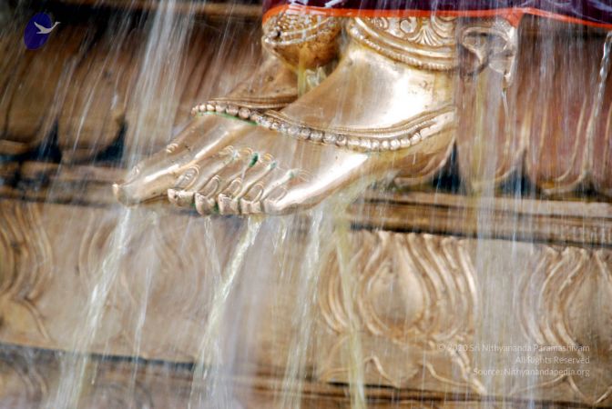 20100705 DSC 4749 CMP WM111.jpg