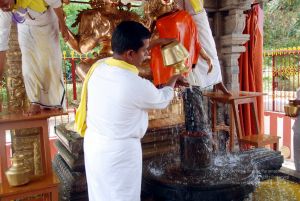 20100705 DSC 4753 CMP WM111.jpg