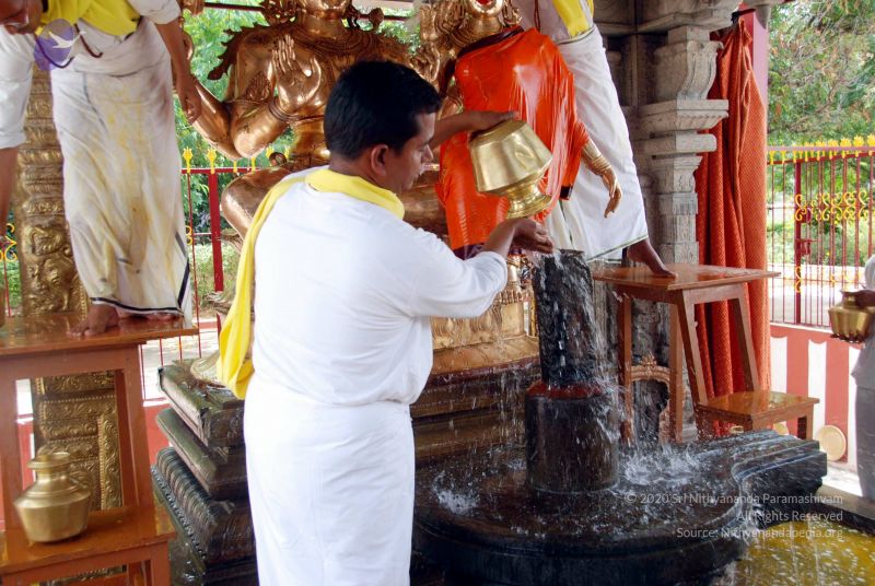 File:20100705 DSC 4753 CMP WM111.jpg