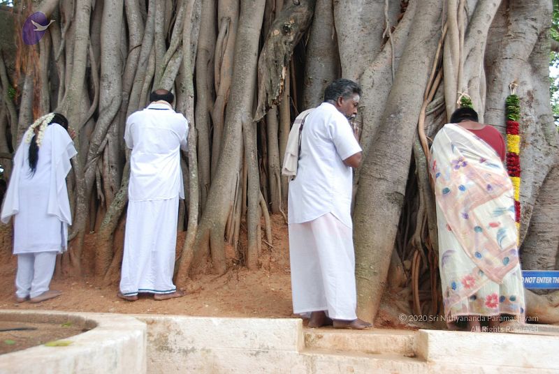 File:20100707 Photo 1020 1kCbkEatpwK1ep60RGpSx50qq6UlUXssX.JPG