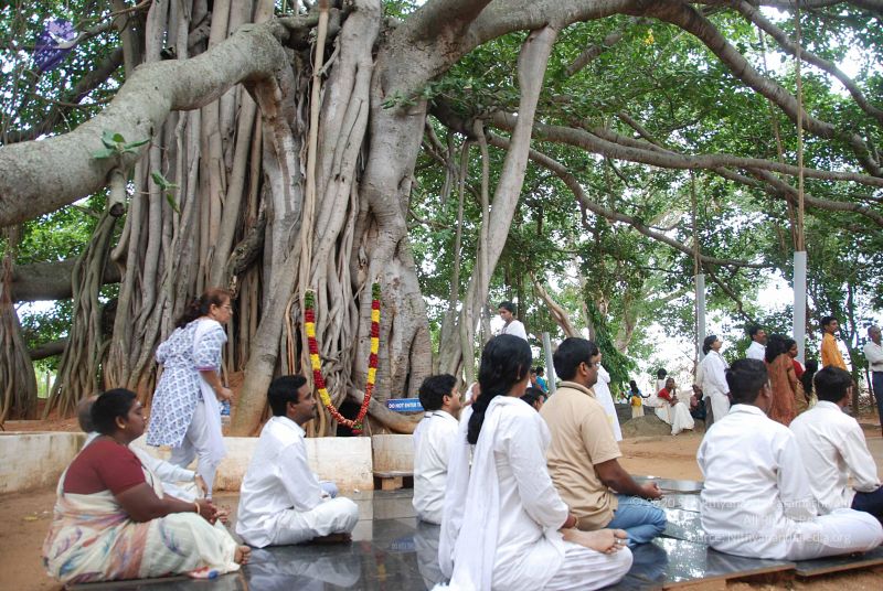 File:20100707 Photo 1045 1aK1JcQgpVGMlsKl0t3jvY2Qu8LcJO6vi.JPG