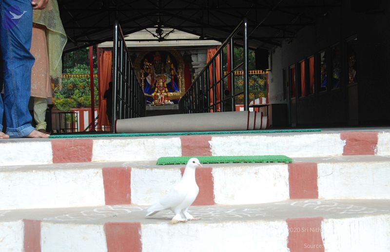 File:20100707 Photo 1072 1mhiAcue8m6gKPER3AJDvWbwCGjUwtH9M.JPG