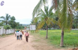 20100707 Photo 1076 1rU24Gk0h8vD8pigODODeOCxoaD-dw6Rk.JPG