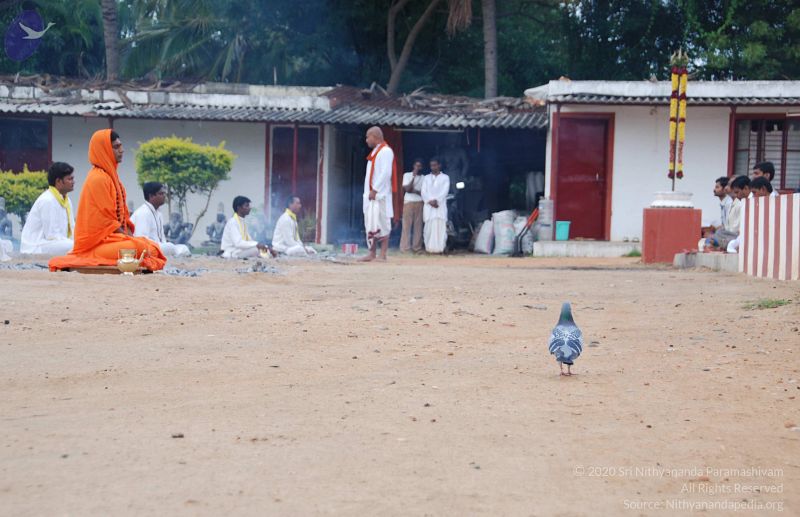 File:20100707 Photo 1120 1MVpTMsFuPb4a6eybQGcSL7CbaCXWjMj-.JPG