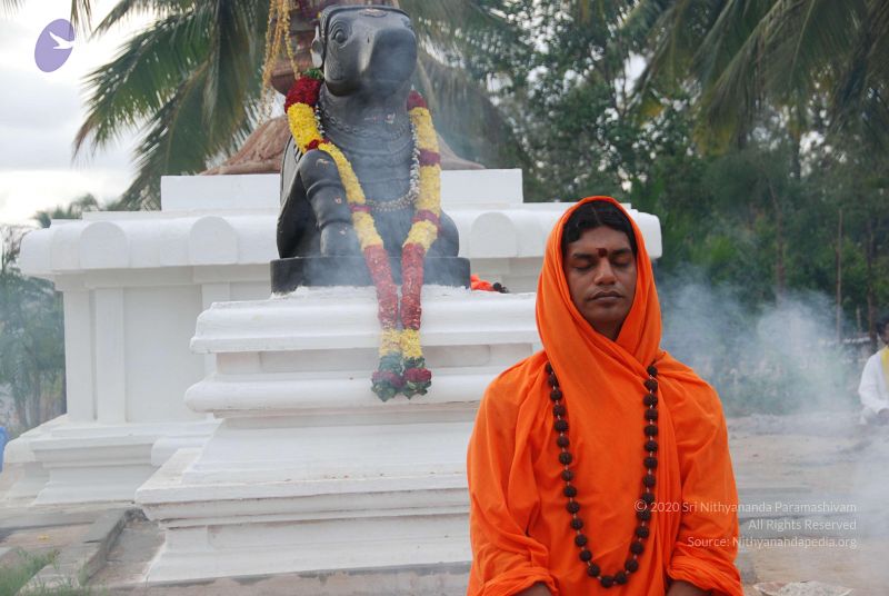 File:20100707 Photo 1124 1UalTlY3W90xUwQrOT28cmlA9VnV-01vp.JPG