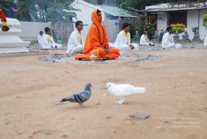 20100707 Photo 1137 1d2aZHKRsVm2F6ymACPz-huf0-Q gyPD0.JPG