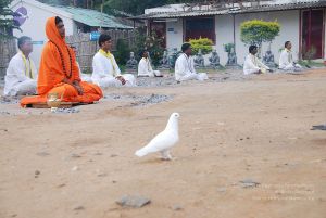 20100707 Photo 1140 1yvU4WjYWAeQ2DZlt6CvU1QlRwR-AmgrX.JPG