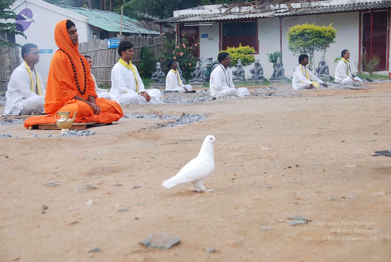 File:20100707 Photo 1140 1yvU4WjYWAeQ2DZlt6CvU1QlRwR-AmgrX.JPG