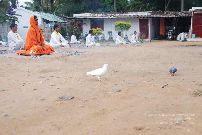 File:20100707 Photo 1141 1Q iNBZw4eQ5vNnlPUcRpYmu1haoZ dKw.JPG