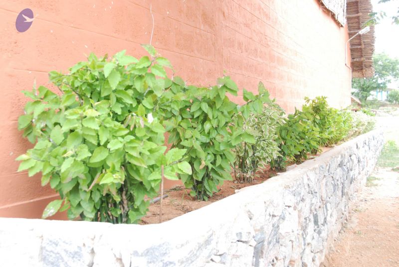 File:20100707 Photo 1189 1JsSR-jIZ0bm0WWwYiKStgRjaai41R78u.JPG