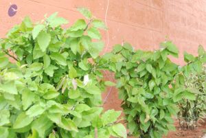 20100707 Photo 1190 1GL5K8fNCne-McuY4kZmx8zRBaAUGbfKp.JPG