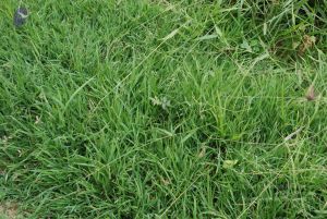 20100707 Photo 1191 1C82HQBoiGTH1lFgbIpEFnbUEwNBocNhx.JPG