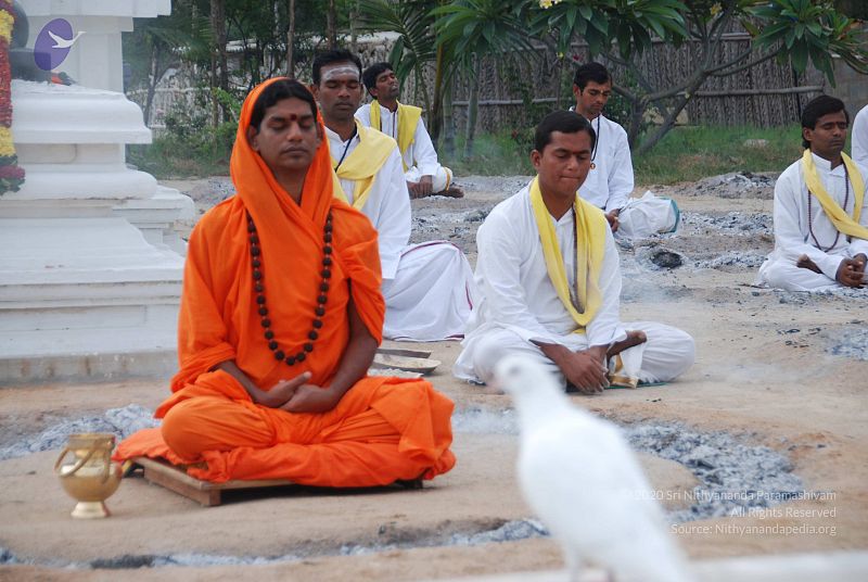 File:20100707 Photo 1202 1exsEwlmBCPzeJoe7NQNV9KKnFZ-7ZhZ-.JPG