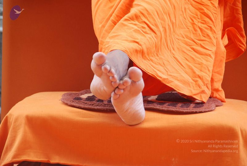 File:20100707 Photo 1308 1uswY8qhv-ho5oL87sqzpwwc-A5lv2 T3.JPG