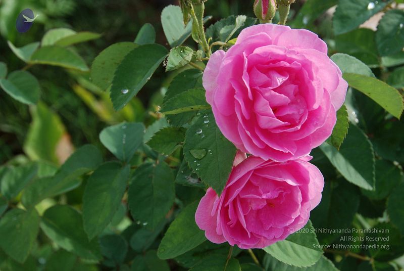 File:20100707 Photo 1361 1ndR-ypCnczRLpmMCTW3wyWvqLDnksKvC.JPG