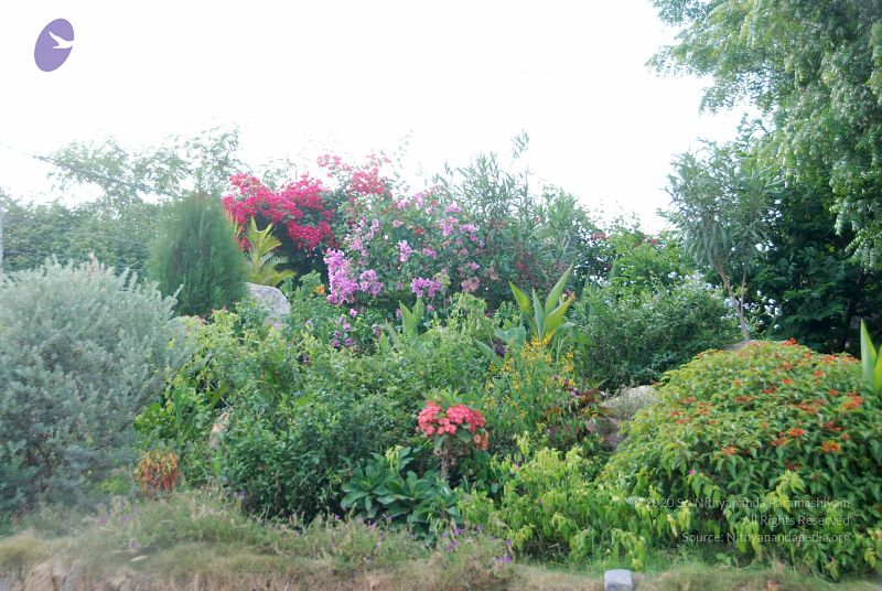 File:20100707 Photo 1371 1xIVUJynKMchpS4 uUN9PoH 0hMdfFPBv.JPG