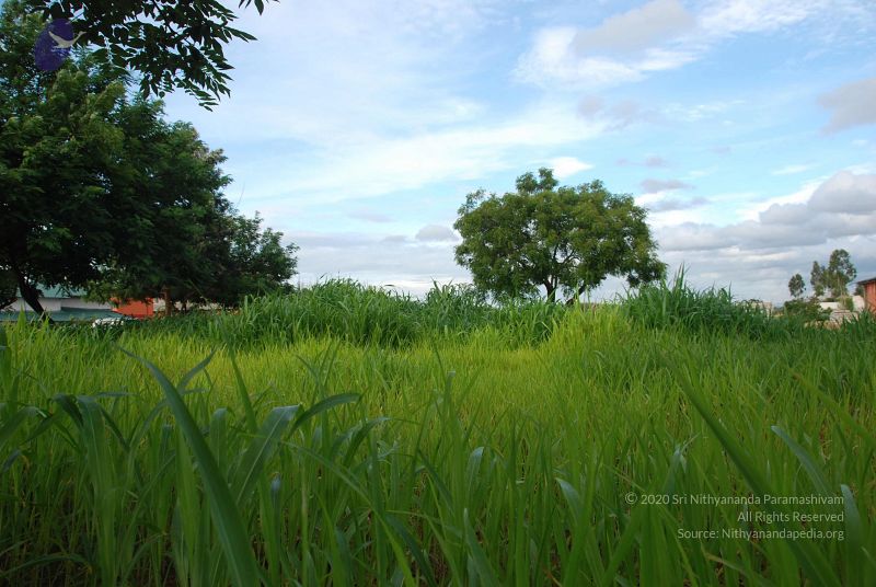 File:20100707 Photo 1375 1yjDVftqyuR0FIRVqz9SGHX8HDjG4BiCy.JPG