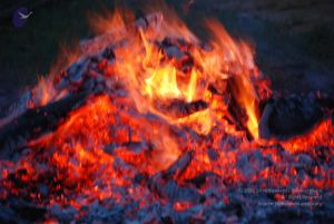 20100708 Photo 1002 1WceBimrP2vZz-X3slEkWlB5iI6OpxyMo.JPG