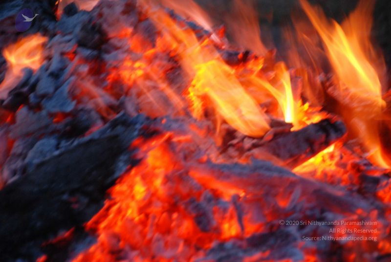 File:20100708 Photo 1003 1aE1beb8LchjxOV1RJUV6JVVWUobzU8g-.JPG