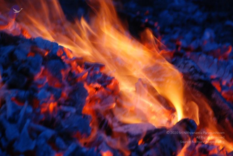 File:20100708 Photo 1006 1E8hocQ8NX0PCmus6KLWl6E OEA6fBlKi.JPG