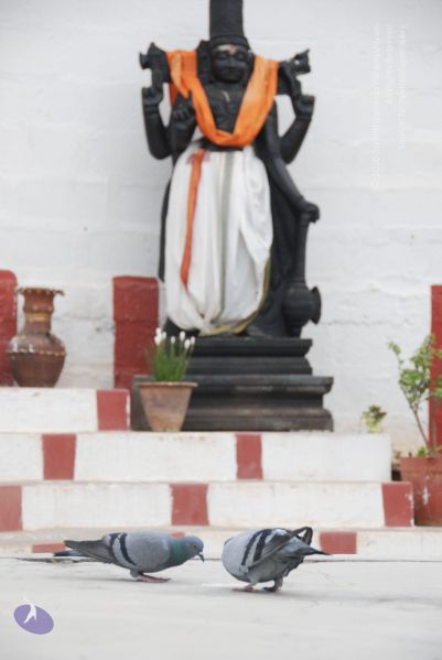 File:20100708 Photo 1042 18WCNbHsQfDWLHrNTa0mWitu7H7r1Cb1U.JPG