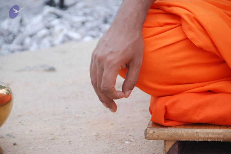 File:20100708 Photo 1087 1Q253nP9urGgm7oywUZ0ynbmE lNBRJha.JPG