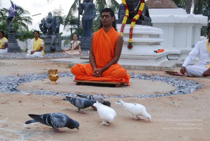 File:20100708 Photo 1119 1HfZsLPQKeF9wfEJZNNhBv02gmC5Rp1wm.JPG