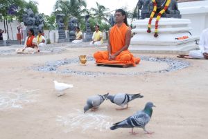 20100708 Photo 1137 1ehlDzssOTyz8Y4flHtsADzzNEJpy9-FK.JPG