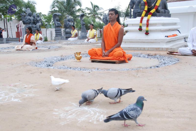 File:20100708 Photo 1137 1ehlDzssOTyz8Y4flHtsADzzNEJpy9-FK.JPG