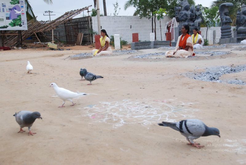 File:20100708 Photo 1142 1pZql3AzefJadNjB1Un0Wsb9hAITZqqBU.JPG