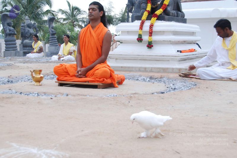 File:20100708 Photo 1147 1gB2yXqUJHFky8nZXqASbwCac7YlSr5m0.JPG