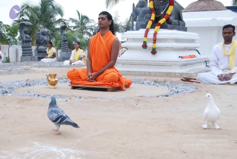 File:20100708 Photo 1149 1NRHxLFvtwP6gXBEtoi7d2svAp0kmjwsc.JPG