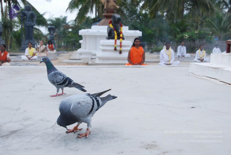 File:20100708 Photo 1155 1n4YOsvrLwJ7bG8jyq5I QobY8BHdh3UH.JPG