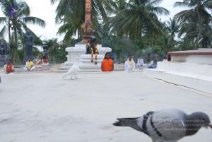 20100708 Photo 1158 1l 4kTBhsjZojrkBovYOW9C9K61umeMe3.JPG