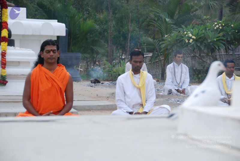 File:20100708 Photo 1160 1ClPODntwufx5S xKcXQKhQ-OqdfSpO7K.JPG