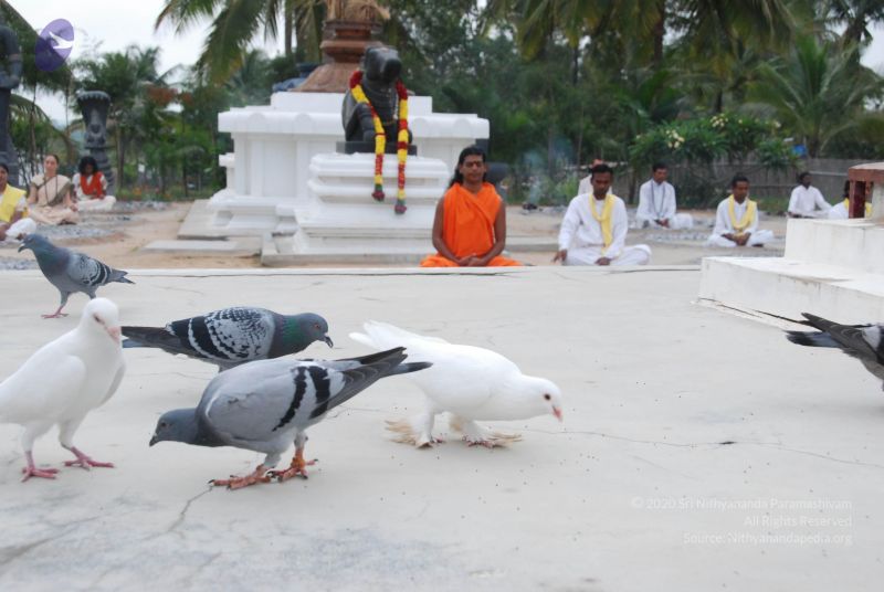 File:20100708 Photo 1166 1604Fu-N0x1jSaDIC8QevKQecLo9mKj7Q.JPG