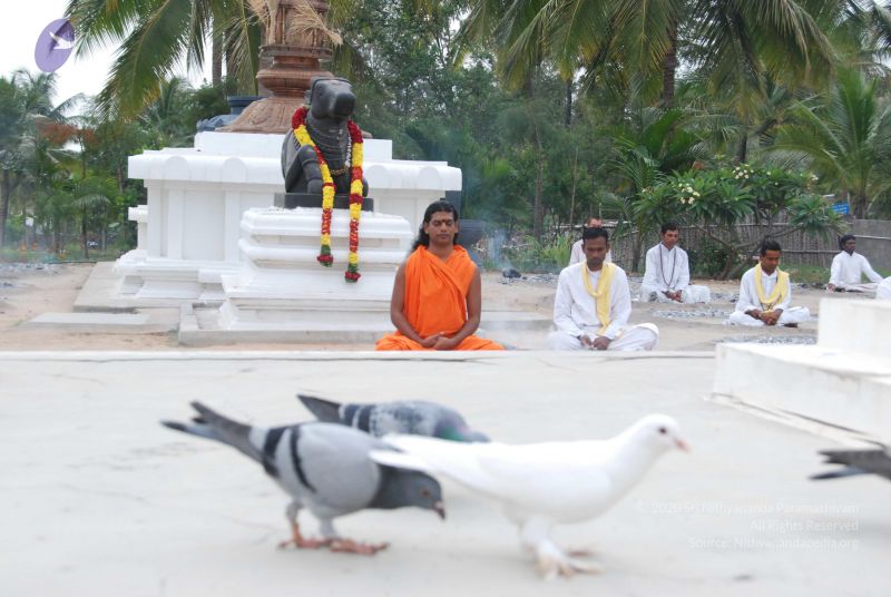 File:20100708 Photo 1167 1yKoOgnpncovHbXpfEefnU7fChvZd 3dM.JPG