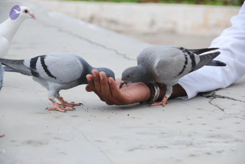 File:20100708 Photo 1173 1r4lOxkR1aKy5sZNFybaXMwStcOGZCZ29.JPG