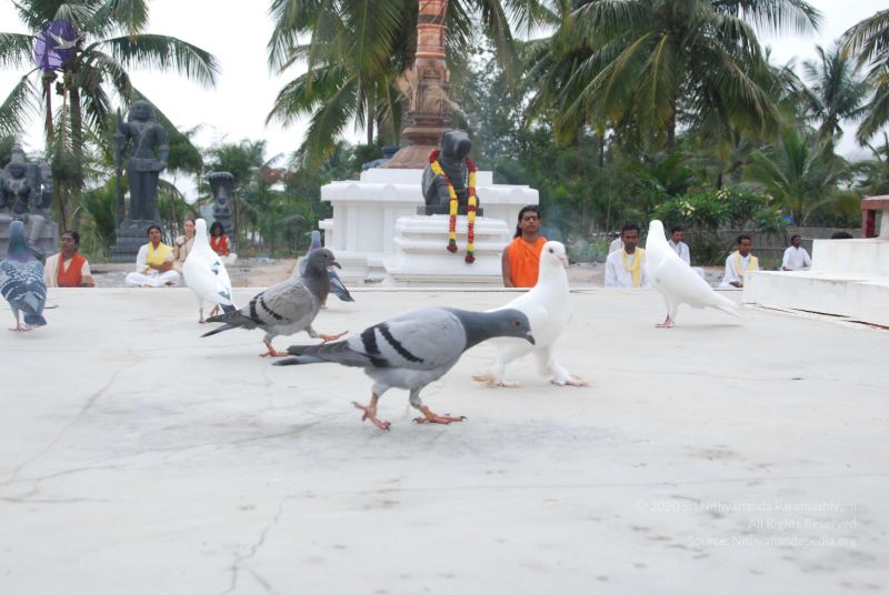 File:20100708 Photo 1174 1tgKF6L7wahTu8Q8Ro16zhiPbyt4nEFdR.JPG