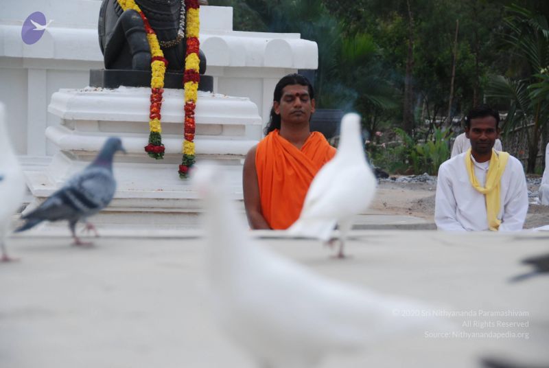 File:20100708 Photo 1176 1UxeVqK eEDL6OHgyDgDUHBkAToV IriJ.JPG