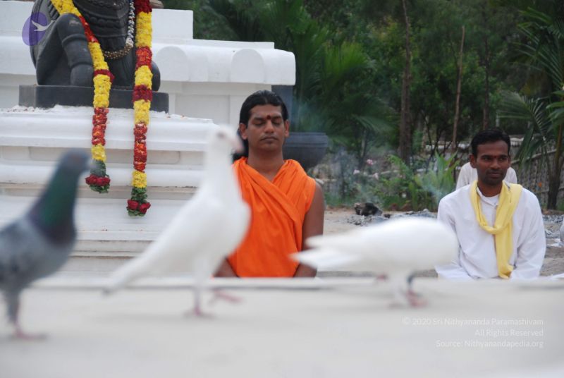 File:20100708 Photo 1177 1hj1pHUB2834OkRBKarhaDRcdFcCwtBqB.JPG